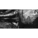 Imperial Darkness / Pyrifleyethon - Havoc's Split Asunder