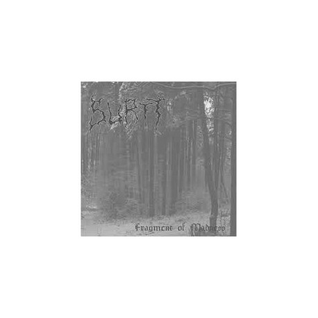 Surtt - Fragment of Madness