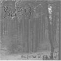 Surtt - Fragment of Madness