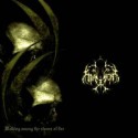 Trayjen - Walking Among the Stones of Fire