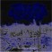 Wackhanalija - Where Death Dies