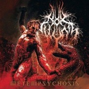 Nox Illunis - Metempsychosis