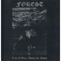 Forest - Like a Blaze Above the Ashes