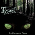 Tyrael - Der Wald ist mein Zuhause