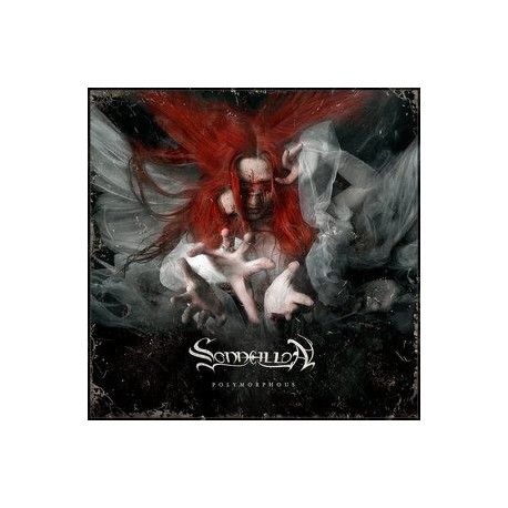 Sonneillon - Polymorphous
