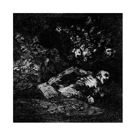 Cryptic Wanderings / In the Shades - Split