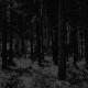 Moloch - Abstrakter Wald