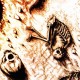 Lysergene / Dust to Dearth - The Death of the Sun