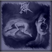 Evil - Studna