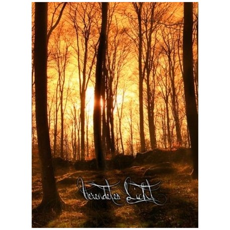 Widuz / Forstyrre / As Light Becomes Shadow - Verendetes Licht