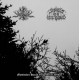 Waldseel / Shards of a Lost World - Mystischer Hauch Vergessener Welten