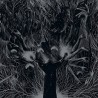 Dodsengel - Interequinox