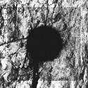 Necandi Homines - Black Hole