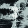 Apologoethia - Pillars
