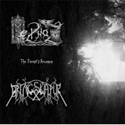 Heilnoz / Drengskapur - The Forest's Arcanum