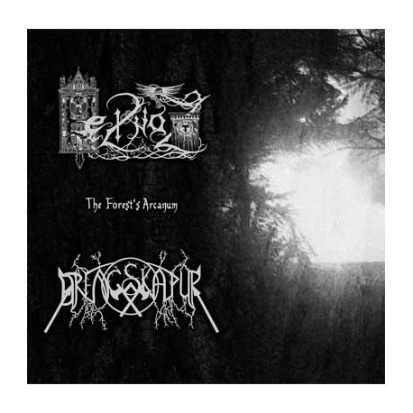 Heilnoz / Drengskapur - The Forest's Arcanum