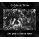 L'Éclat du Déclin - Ainsi Passe la Gloire du Monde