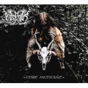 Vosegus - Terre Ancestrale