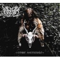 Vosegus - Terre Ancestrale