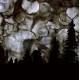 Sol / Begrabnis - Split
