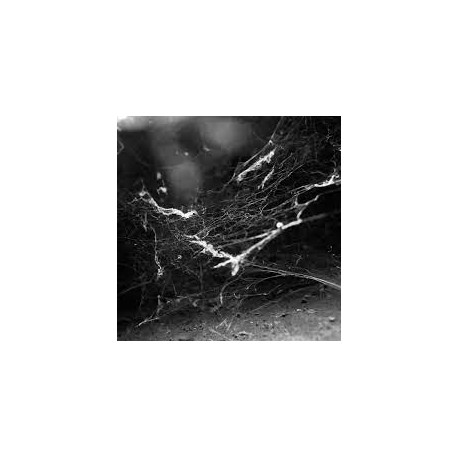 Raptus - Antiphilanthropy / Fragments