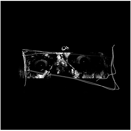 Djinn - Fuck Vessel