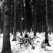 Pure - J'Aurais Du