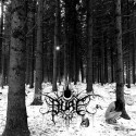 Pure - J'Aurais Du