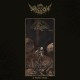Schattenfestung - In Desolate Remains