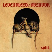 Levendleed / Obskvvr - Split