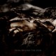 Tunes of Despair - From Beyond The Vein