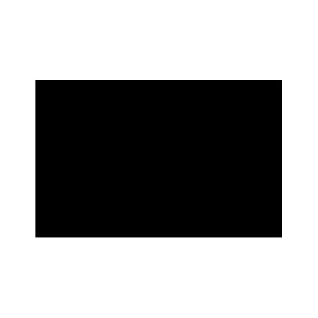 Black Flag