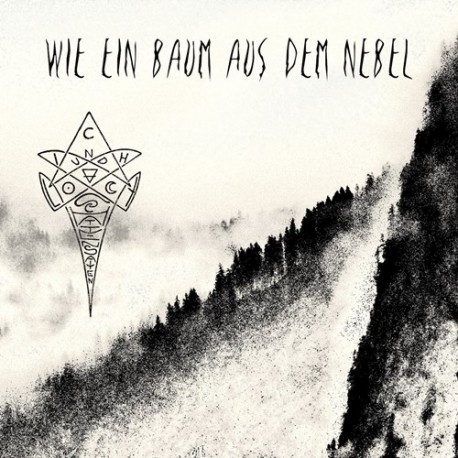Licht- Und Schattensaiten - Wie Ein Baum Aus Dem Nebel