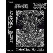 Anatomia / Pazuzu - Indwelling Morbidity
