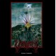Verivala - Kalliolle, Kukkulalle