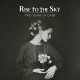 Rise To The Sky - Two Years Of Grief