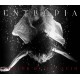 Entropia - Konjur de Creació