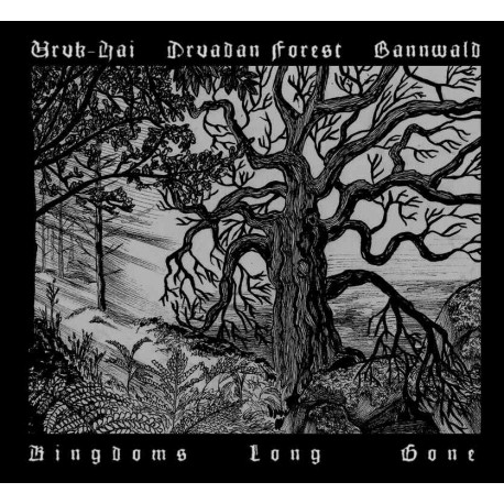 Druadan Forest / Uruk-Hai / Bannwald - Kingdoms Long Gone