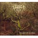 Legion - Bosque de Ceibos