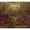Legion - Bosque de Ceibos