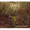 Legion - Bosque de Ceibos