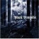 Black Dementia - Hyperborean Call