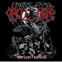 Nachtfalke - The Last Battles