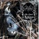 Astarium - The Ghost Kings