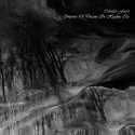 Colorless Forest - Imprints of Dreams in Hyaline Ice
