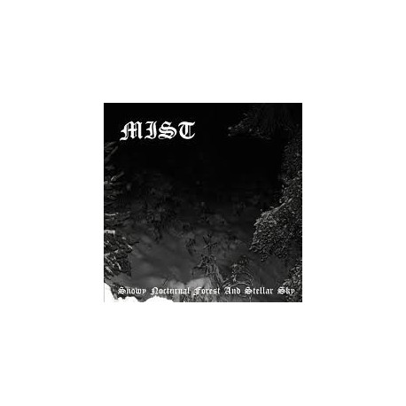Mist - Snowy Nocturnal Forest and Stellar Sky