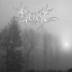Bereft - Bereft
