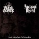Black Silence / Paroxysmal Descent - Into the Lightless Depths / The Suffering Within