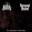 Black Silence / Paroxysmal Descent - Into the Lightless Depths / The Suffering Within