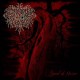 Diabolical Principles - Beyond the Horizon